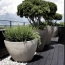  Annonces VILLEFRANCHE : Appartement | FERNEY-VOLTAIRE (01210) | 47 m2 | 312 000 &euro; 