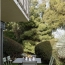  Annonces VILLEFRANCHE : Appartement | CALUIRE-ET-CUIRE (69300) | 93 m2 | 516 850 &euro; 